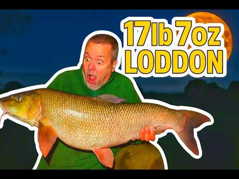 MONSTER BARBEL On The River Loddon