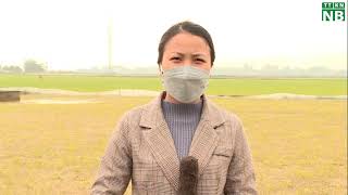 Chăm sóc lúa sau đợt rét 20/2/2022