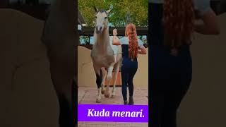 Download lagu dancing horse, kuda menari #hewan #horse #dancing #menari #kuda #foryou #kekompakan mp3