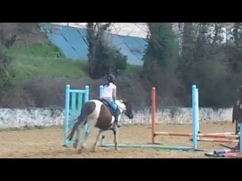comment participer a un concours d'equitation