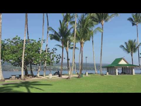 Coconut Island Rushes 03:12:17