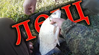 Оз ик есть свежие отчеты о рыбалке