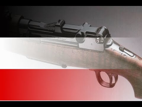 Guns that never Were: Selbstlader 1906