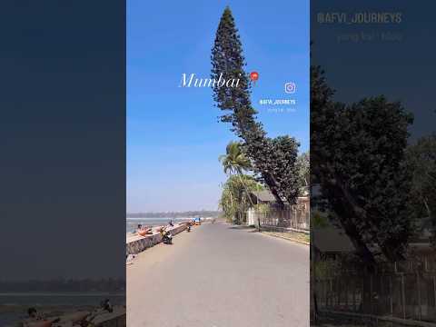 Dana Pani beach / aksa beach / mumbai beach #aksabeach #mumbaibeach #juhubeachmumbai