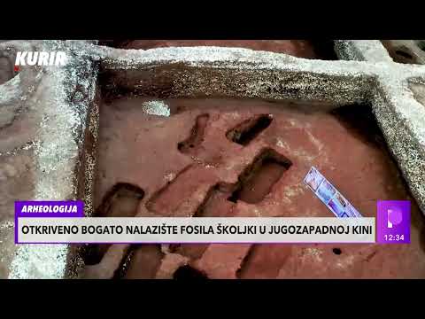 ARHEOLOŠKO BLAGO - U Jugozapadnoj Kini otkriveno nalazište fosila i školjki