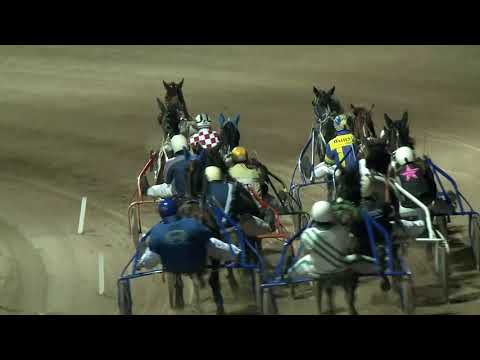 2018.12.31. 10. futam - HORZE - B.Ú.É.K. 2019 HENDIKEP