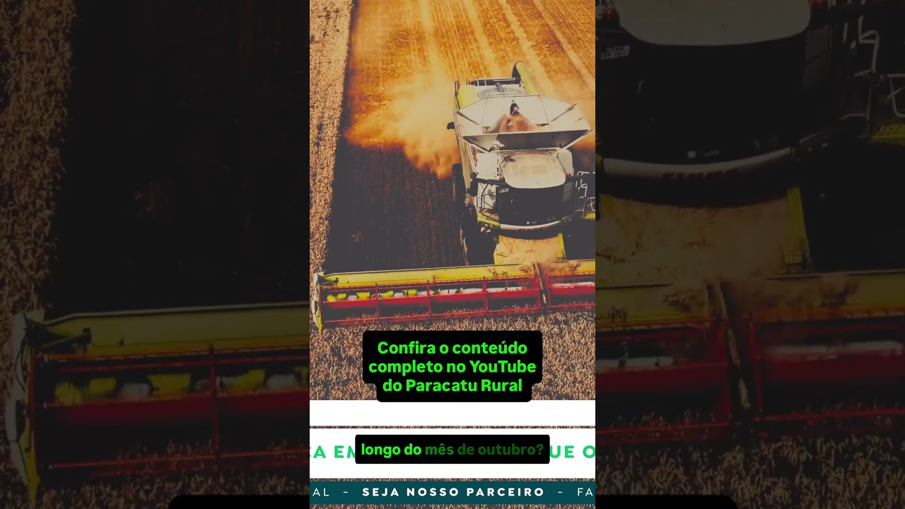 USDA Derruba Chicago e Preços Travam: Milho Pode Cair Até Onde?