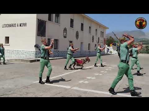 La Legión Desfila con Chulería ante la Princesa… ¡Aunque el Carnero se Rebeló!.