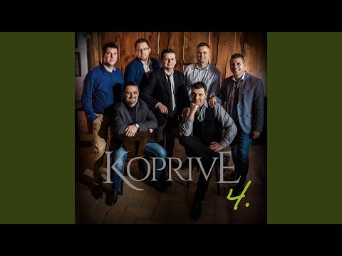 Hej haj, veseljaci smo mi / Lump sam