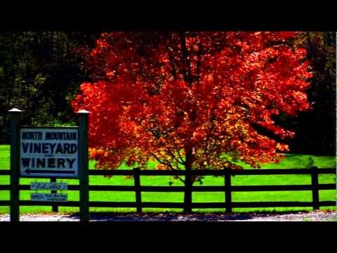 download lagu mp3 mp4 Virginia Wine Trail, download lagu Virginia Wine Trail gratis, unduh video klip Virginia Wine Trail