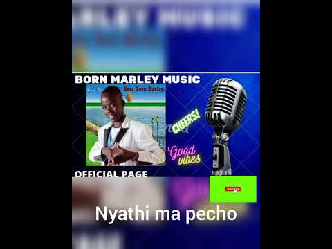Tiyi Rikeri -Born Marley (Official Music Audio)