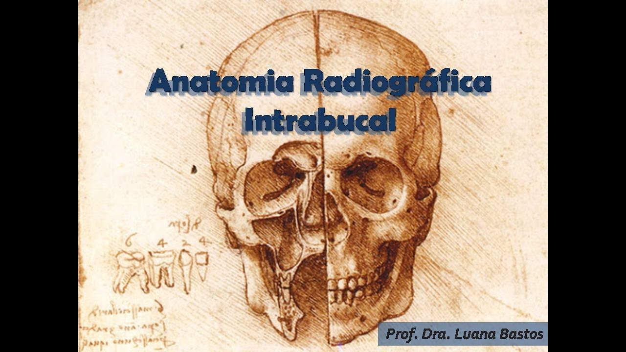 Aula Graduação - Anatomia Radiográfica Intrabucal
