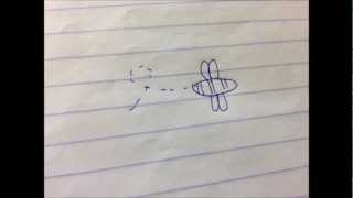 Surrender - The Collective (Lyric Video)