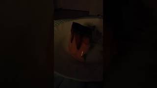 wiggle wiggle wiggle