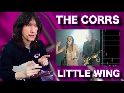 Now THIS is how you cover Jimi Hendrix! It's The Corrs feat. Ronnie Wood!