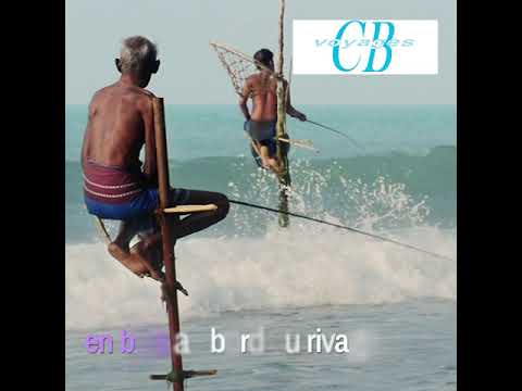 Voyage de groupe au Sri Lanka