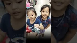 Download lagu SUARA BUAYA SEPERTI INI !!!HAI SAYANG!!! mp3 Download lagu SUARA BUAYA SEPERTI INI !!!HAI SAYANG!!! mp3