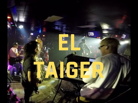 El Taiger In Concert Mix Live