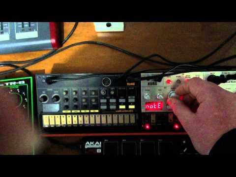 Angelo Mele Studio Session Moog Minitaur/Korg Volca Bass/Korg Volva Keys/Roland Tr8/Tb3