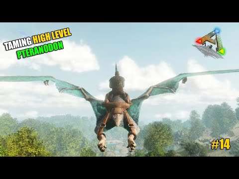 TAMING A HIGH LEVEL PTERANODON! | ARK Survival Evolved #14