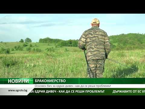 БРАКОНИЕРСТВО: Основен бич за едрия дивеч - как да се реши проблемът