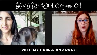 How I Use Wild Oregano Oil with my Horses &amp; Dogs