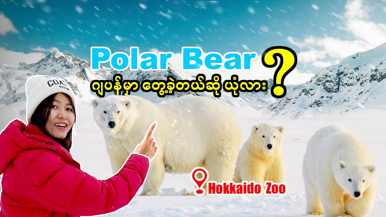 NaNa အကြိုက်ရဆုံးတိရိစ္ဆာန်ရုံ| HokkaidoZoo| MaruyamaZoo| Japan_Vol.155