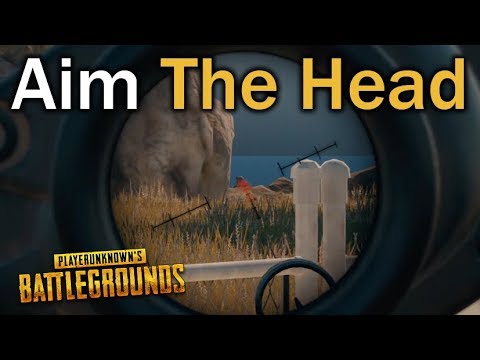 Aim On The Head