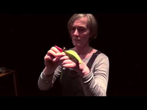 Soundpainting Workbook 4 - Soundpainting with Visual Artists by Walter Thompson