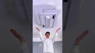 The popular leafless fan lights in 2025.#lamp #light #led #smarthome #lightingdecor