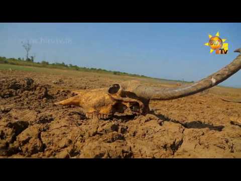 Ahasa Handuwado Dukin  [www.hirutv.lk]