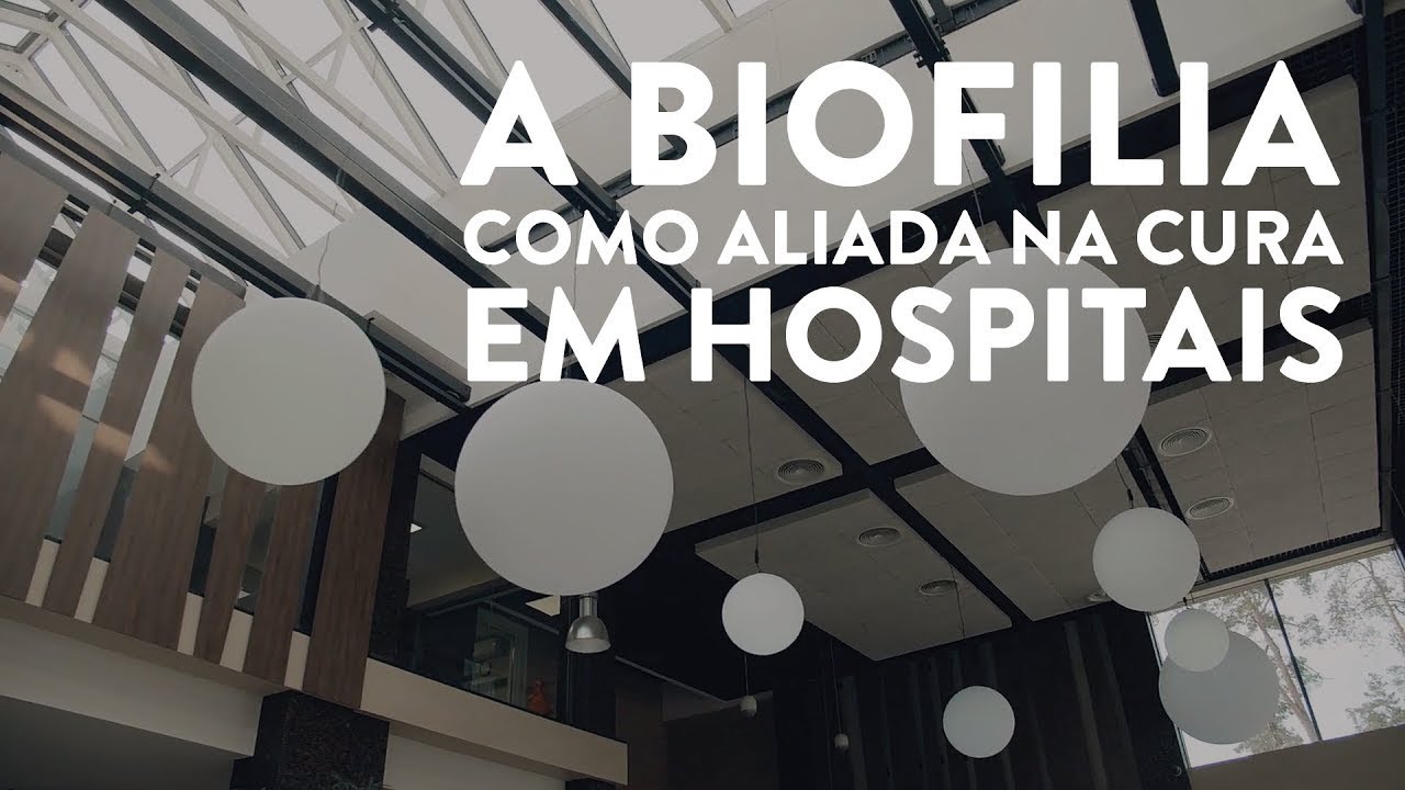 A Biofilia Como Aliada na Cura em Hospitais