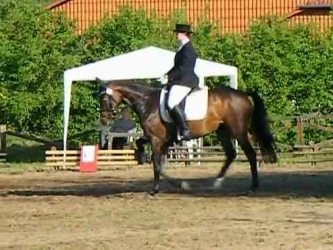 A-Dressur Rastenberg 2012 Sajury le jolie.AVI