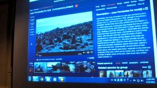 CEO Arkive/Wildscreen Richard Edwards speaks on Google Ocean panel IUCN Korea 2