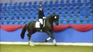 preview picture of video 'www.reitschule-sandbrink.de Fürst Romancier - Hohenstein 1st Spring Licensing Vechta 2012'