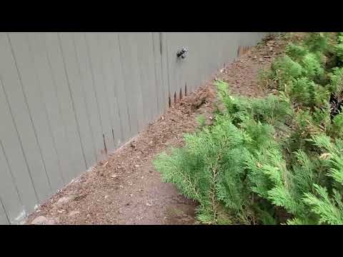 Work on 76 Old Farm rd concord ma