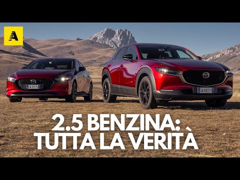 10,000 km with the 2.5-liter Mazda petrol engine: what's the truth? (LONG TEST, REAL-TIME CX-30/M...