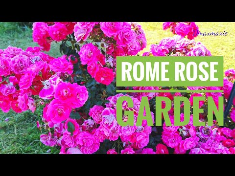 Discovering Rome's Hidden Oasis: Rose Garden  in italy