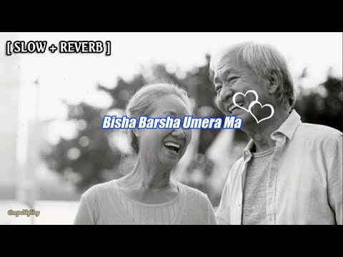 Love Paryo [Slow+Reverb] Lyrics Video - Kta Haru | Nepali Lofi Boy