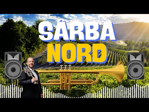SUPER TROMPETA 🔥 SÂRBA DE LA NORD 💥 CEA MAI FRUMOASĂ MUZICĂ MOLDOVENEASCĂ DE PETRECERE LA TROMPETĂ