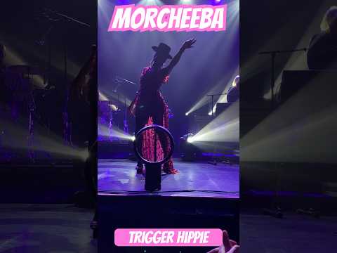 #morcheeba #triggerhippie #amazing #mustwatch #live #concert #triphop #enjoy #fun #likeandsubscribe