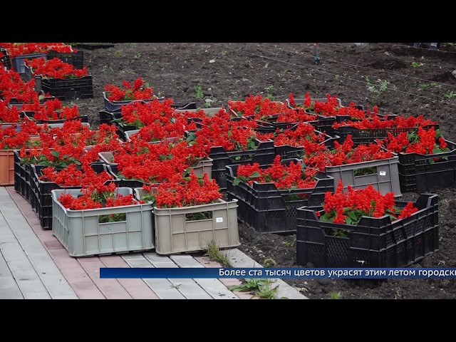 Цветочные фантазии