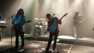 Tribal seeds - Rude Girl (2017)