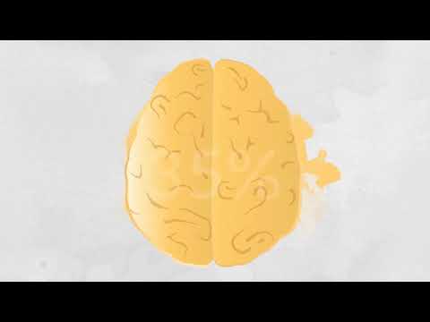 Alpha Explainer Videos #196