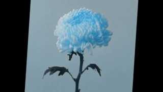 THE FRESH & ONLYS - Presence of Mind [album "Long Slow Dance", 2012]