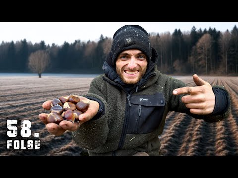 Neue HOFFNUNG - sind 100 Tage doch machbar? | Tag 58/100 autark