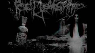 Pencil Lead Syringe - The Agua Mansa Massacre