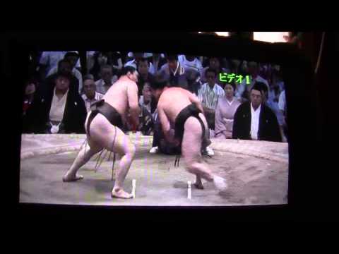 Funny Japanese girl goes Crazy over Sumo Big win Haramafuji Ozeki over Hakuho Yokozuna
