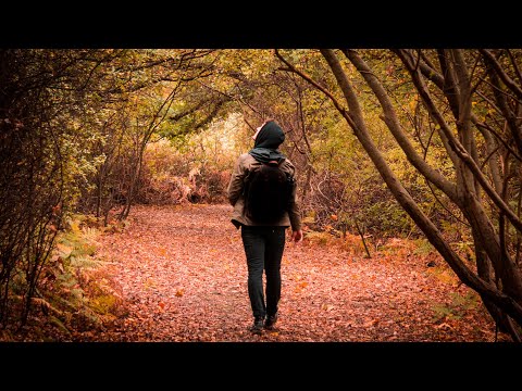 North Downs Way Section
