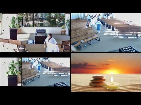 Nasreen Dilawar Dhanani